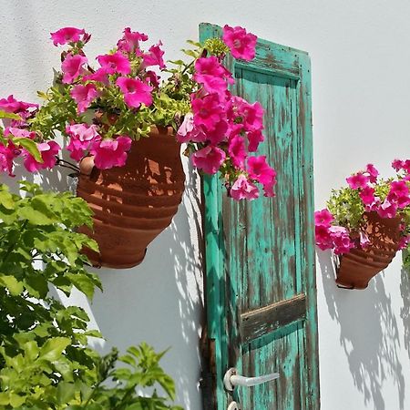 Villa Anna Maria Alikí Exteriér fotografie